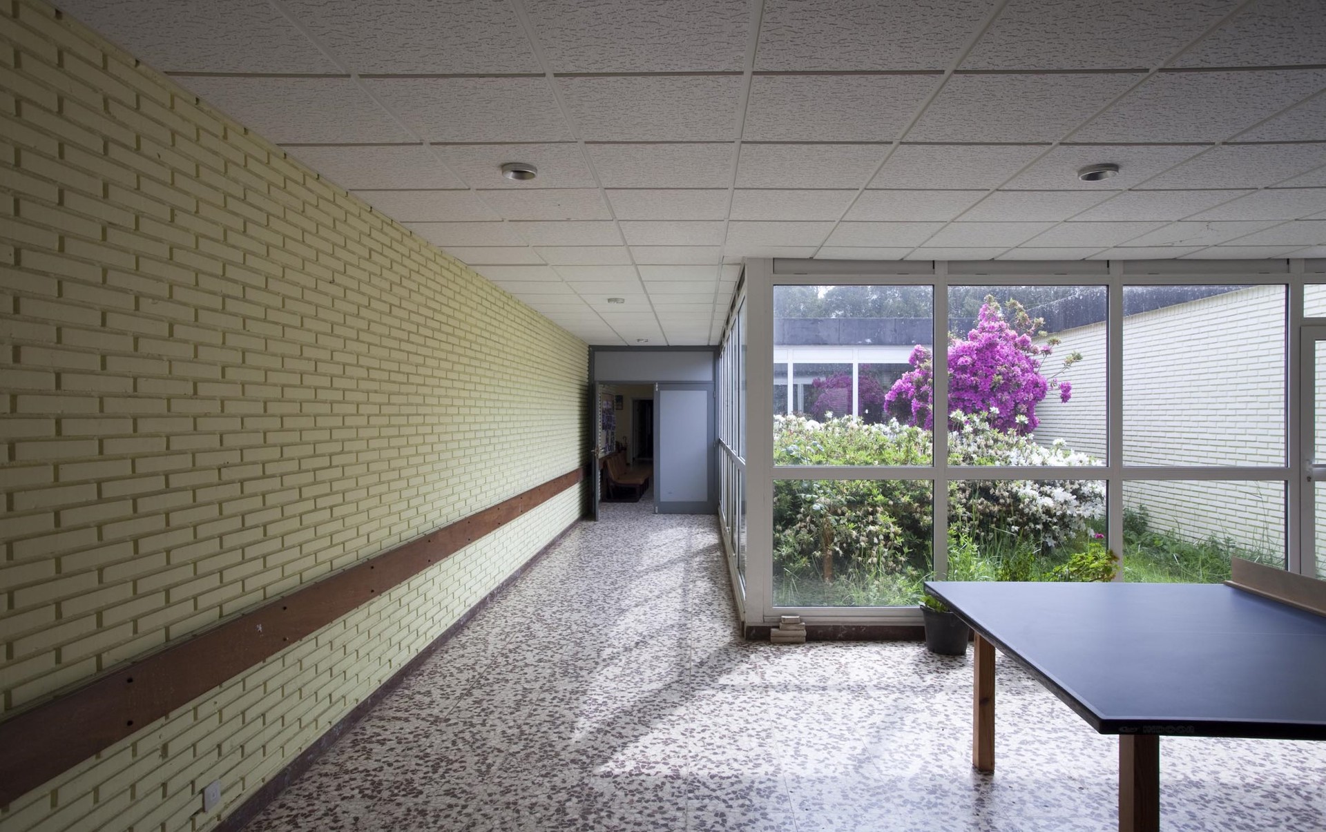  Colegio de Educación Especial Saladino Cortizo