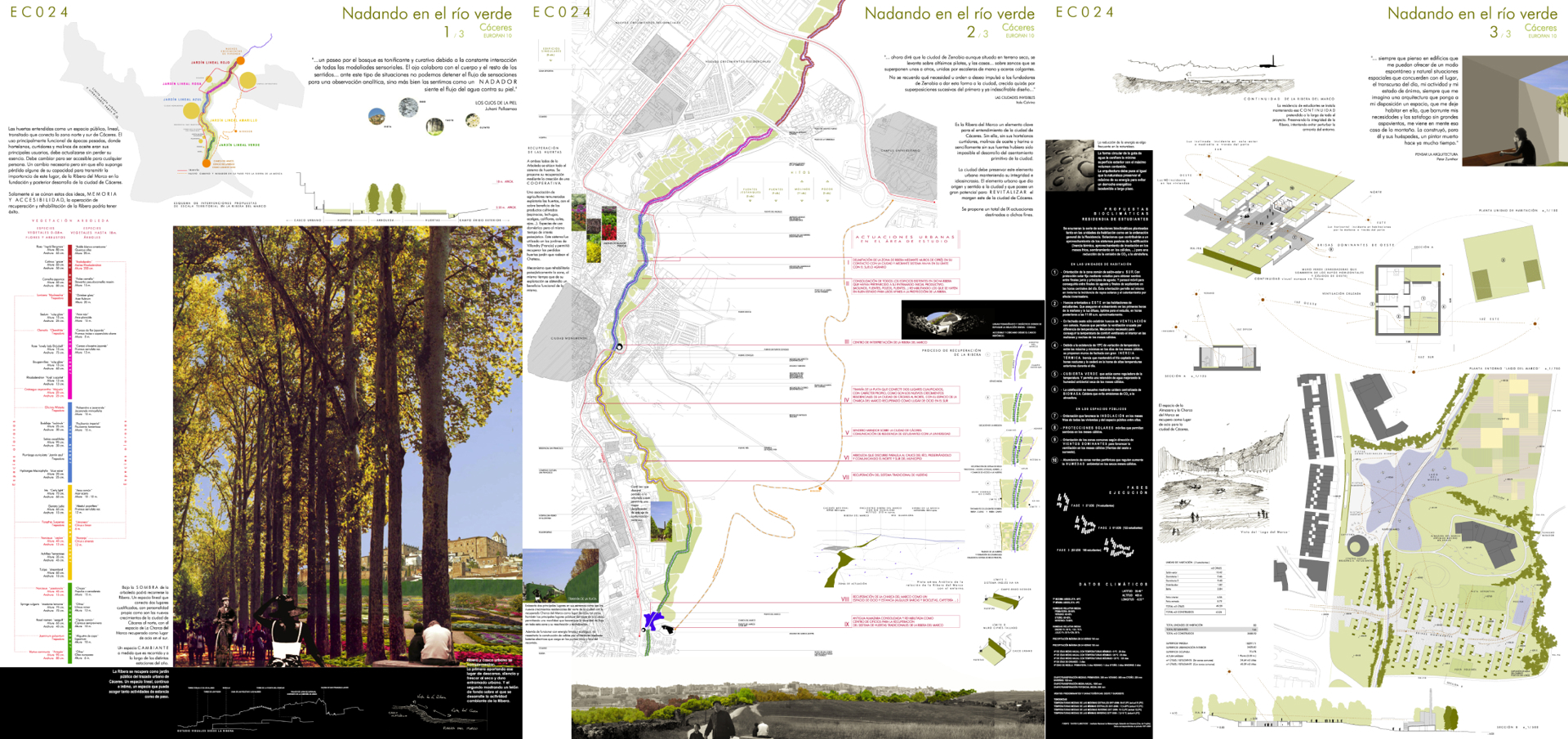  Nadando en el Río Verde