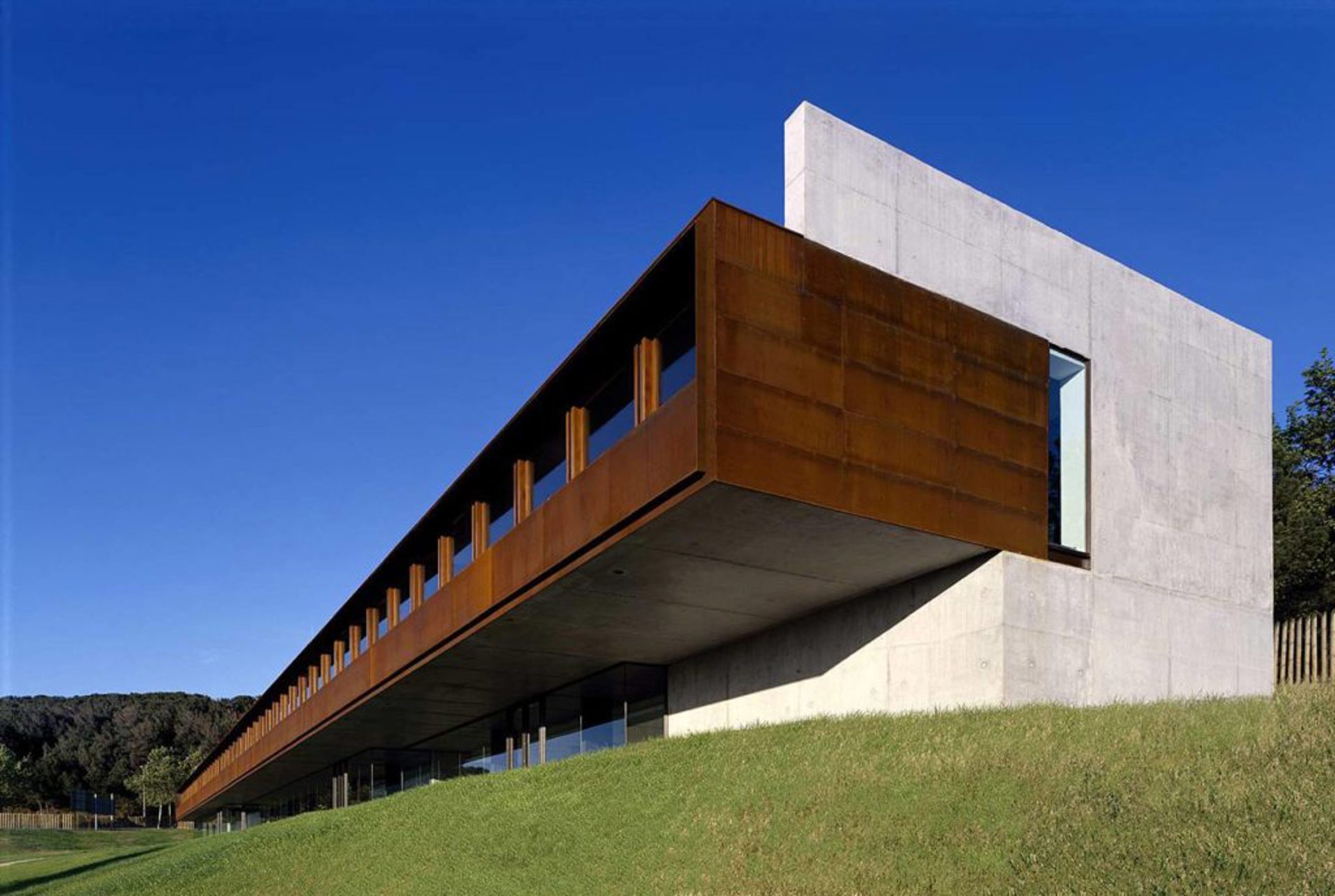  Instituto Botánico para el Consejo Superior de Investigaciones Científicas