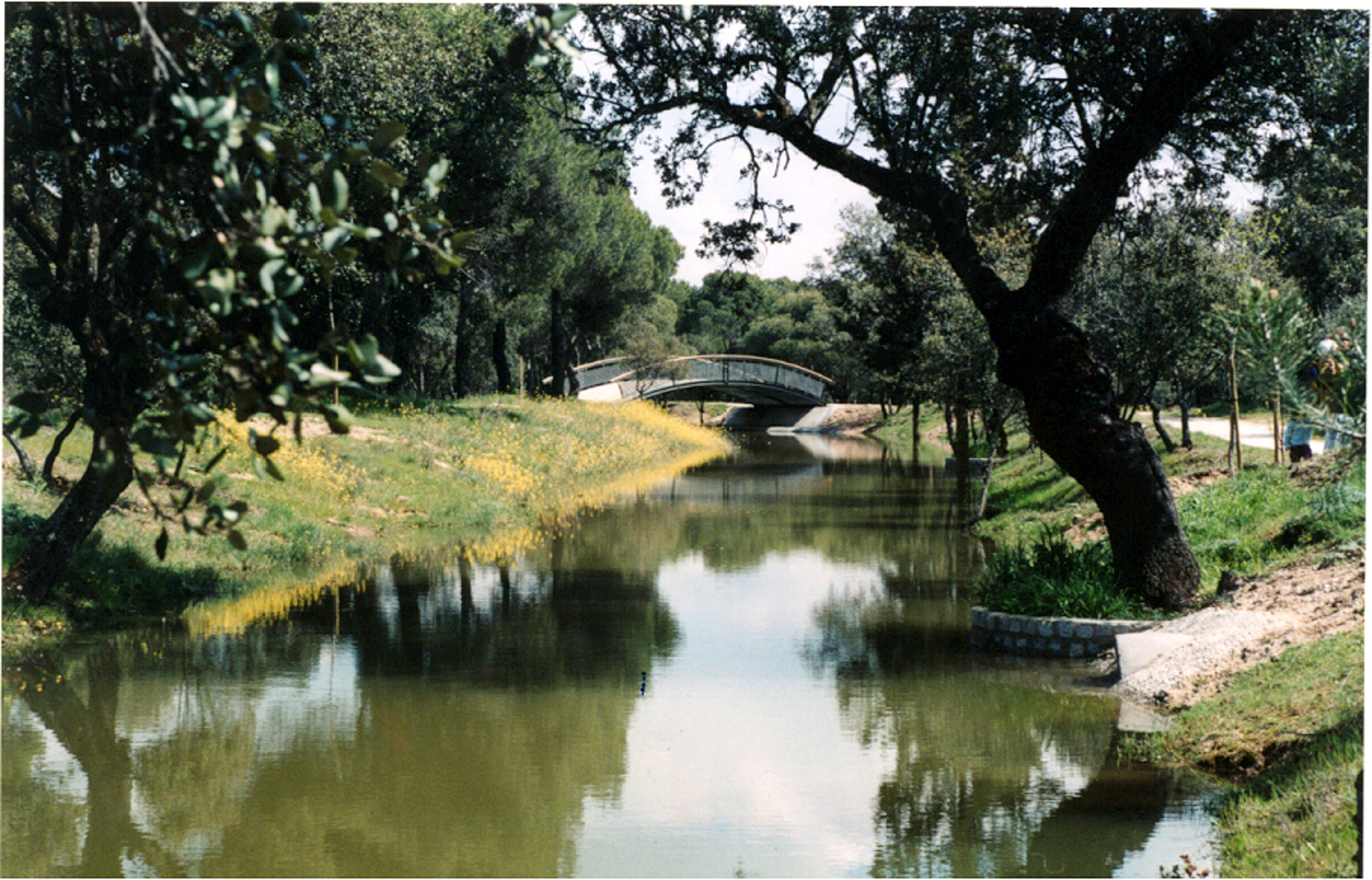  Recuperación del Canal del Guadarrama a su paso por la Dehesa de Navalcarbón