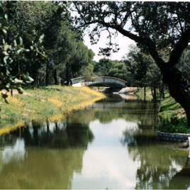 Recuperación del Canal del Guadarrama a su paso por la Dehesa de Navalcarbón