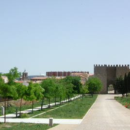 Recuperación de la Cañada Real Soriana Oriental