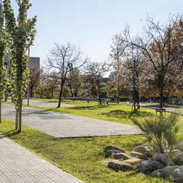 Reforma del parque de Rosa Sensat y de la Avenida de les Alps