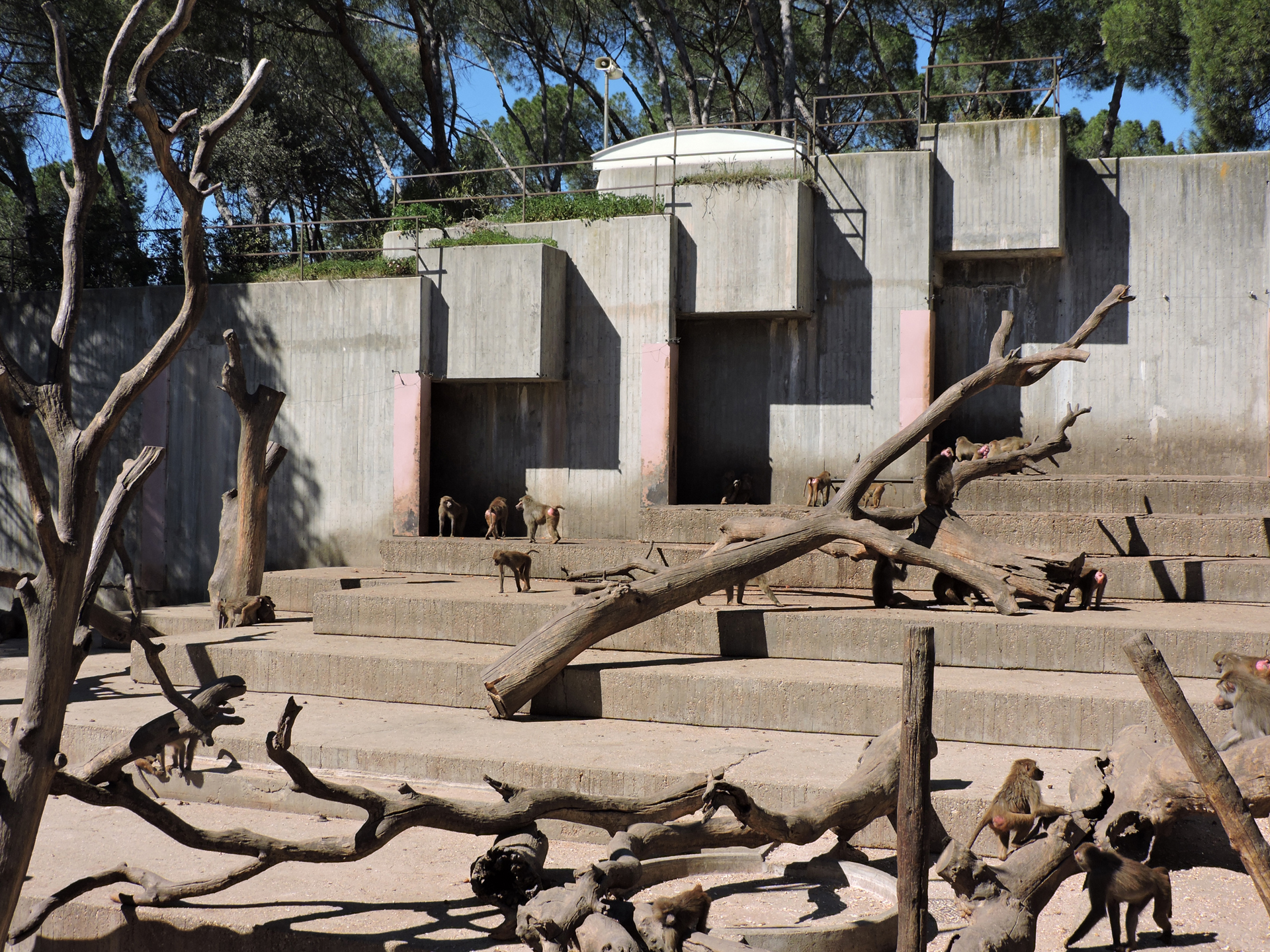  Zoo Aquarium de Madrid