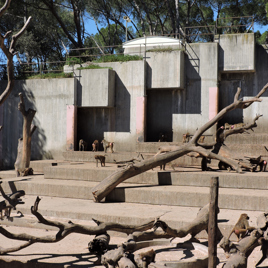 Zoo Aquarium de Madrid