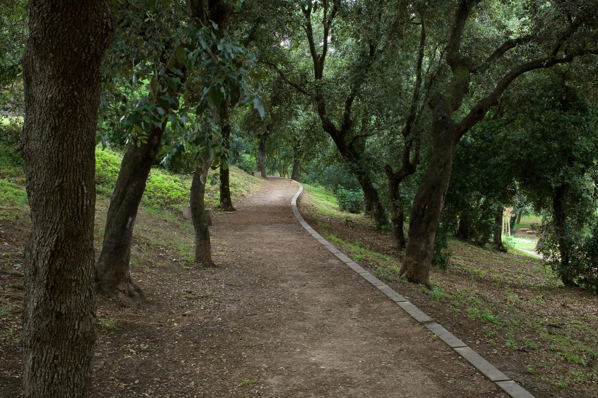  Adecuación de la zona verde de Can Ginestar
