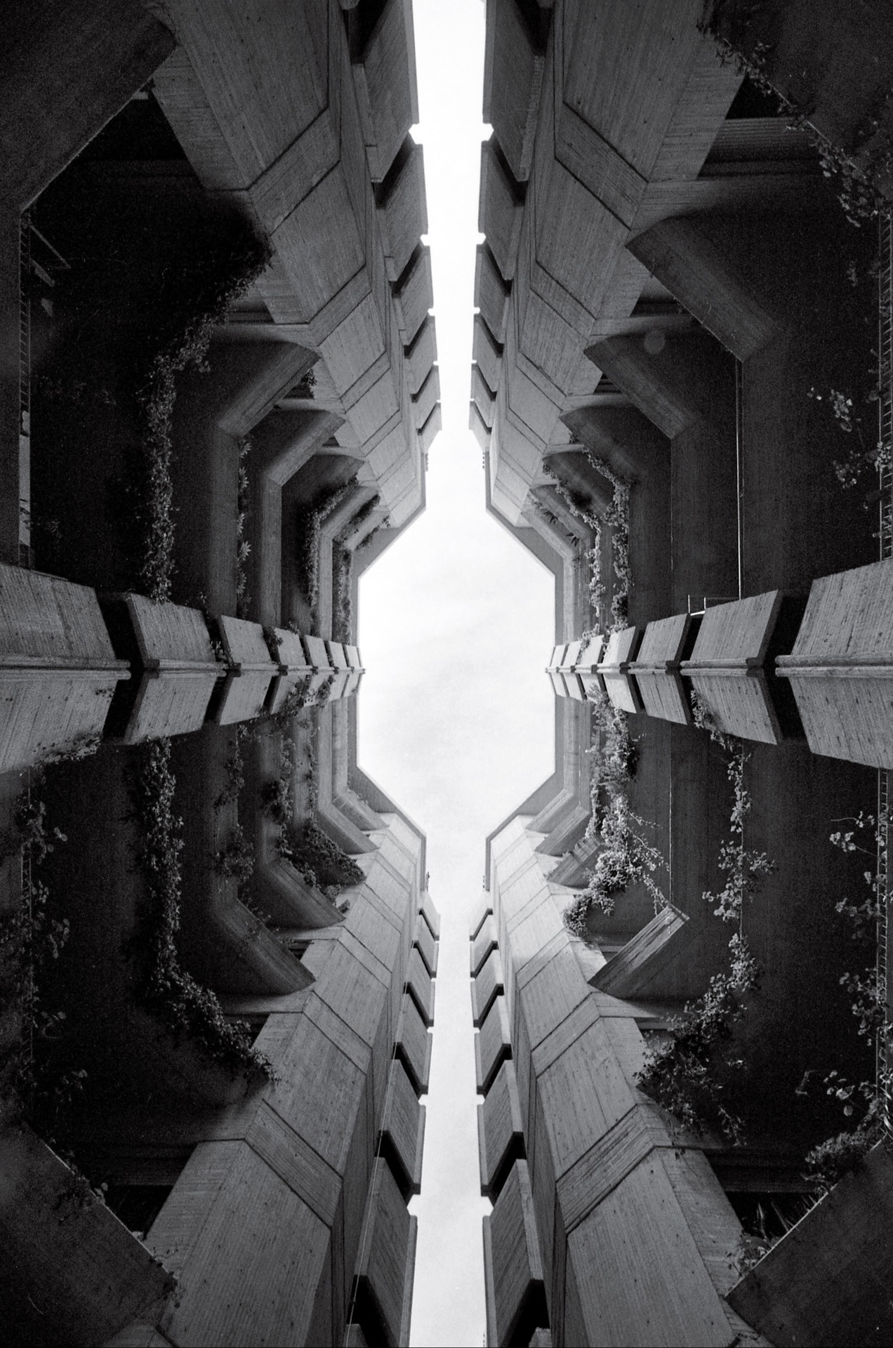  Viviendas para el Patronato de Casas Militares