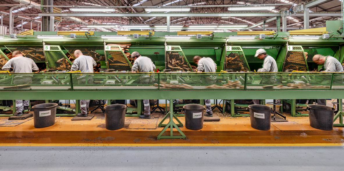 Foodscapes: al comer, digerimos territorios