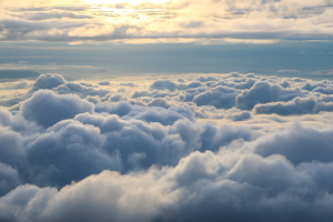 Internet pone la Educación por “las nubes”