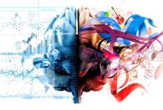 Neuroeducación: ¿Cómo aprende el cerebro? Fundamentos metodológicos para el aula (Edición 1) Neuroeducación: ¿Cómo aprende el cerebro? Fundamentos metodológicos para el aula (Edición 1)