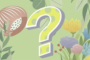 INTRODUCCIÓN A LA EDUCACIÓN AMBIENTAL PARA LA SOSTENIBILIDAD. NIVEL 1. (Edición 1)