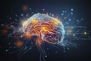 Neuroeducación: Trabajando las funciones ejecutivas en el aula (Edición 1)