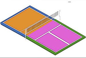 El Pickleball en el centro educativo (Edición 1)