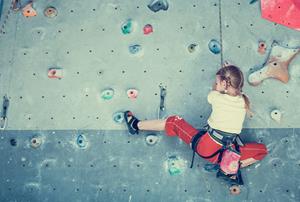 La escalada y las actividades de aventura como contenido de la Educación Física. Propuestas prácticas. (Edición 1)