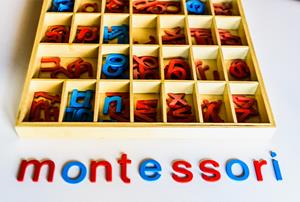 Pedagogía Montessori en Educación Infantil (Edición 1)