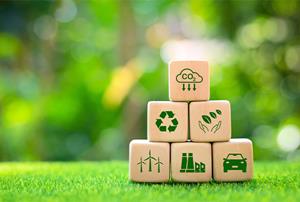 Gases renovables: tecnologías, usos y beneficios. (Edición 1)