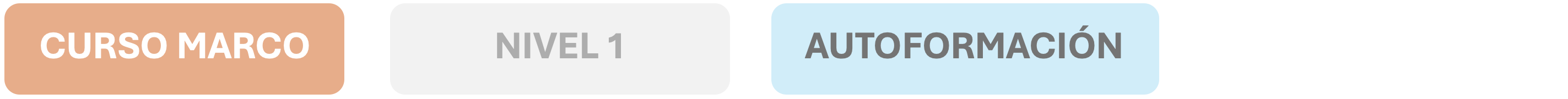 Curso Marco Nivel 1 Autoformación