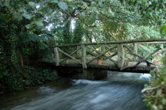 MOLINO DE MATAZORITA I