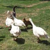 Hacienda Sierra del Pozo