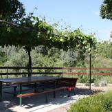 El Domingo en el Valle - El Olmo