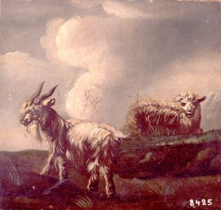 Dos cabras en el campo