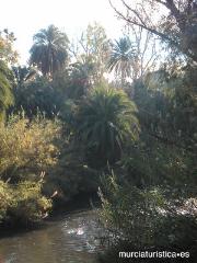 APARTAMENTOS TURÍSTICOS LA GOLETA