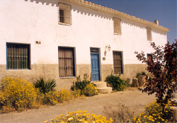 CASA NUEVA