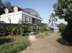 Las Sinas - Saborido