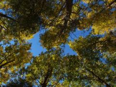 Casa Rural El Pozo y La Estrella