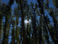 Casa Rural El Pozo y La Estrella