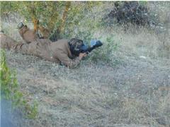 Camping Sacedón Ecomillans