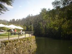 Pesquería del Tambre