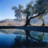 La Almunia del Valle