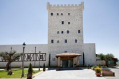 Château Pago de Cirsus