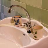 Molino Río Alájar - La Tortuga