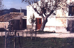 CORTIJO LA TERCIA 4
