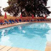 Husa Abetos del Maestre Escuela