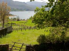 Quinta da Viña Grande