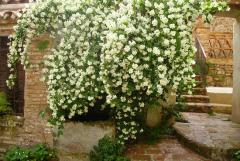 Hotel Boutique Condes Fúcares