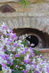 Hotel Boutique Condes Fúcares