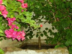 Hotel Boutique Condes Fúcares