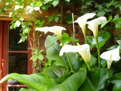 Hotel Boutique Condes Fúcares