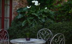 Hotel Boutique Condes Fúcares