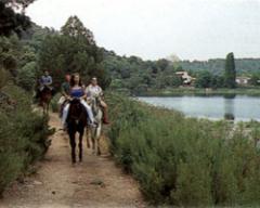 Apartamentos Turísticos Don Quijote