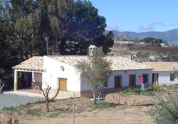 CORTIJO LA PINADA