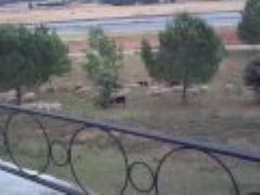 Casa Rural Gran Casona de los Fer