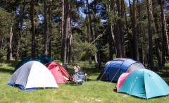 NAVAGREDOS (BAJA TEMPORAL)