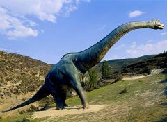 Braquiosaurio a la vista