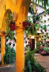 Fiesta de flores en los patios y calles de Córdoba