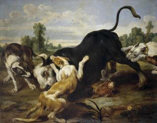 Toro rendido por perros